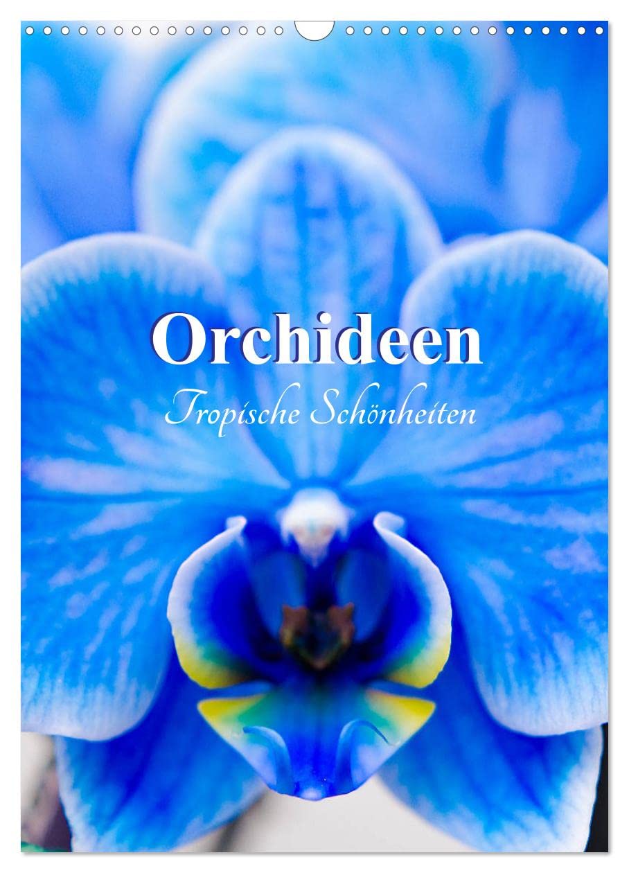 Orchideen - Tropische Schönheiten (Wandkalender 2026 DIN A3 hoch), CALVENDO Monatskalender: Orchideen - die Königinnen der Blumen. (CALVENDO Lifestyle) Social Sciences