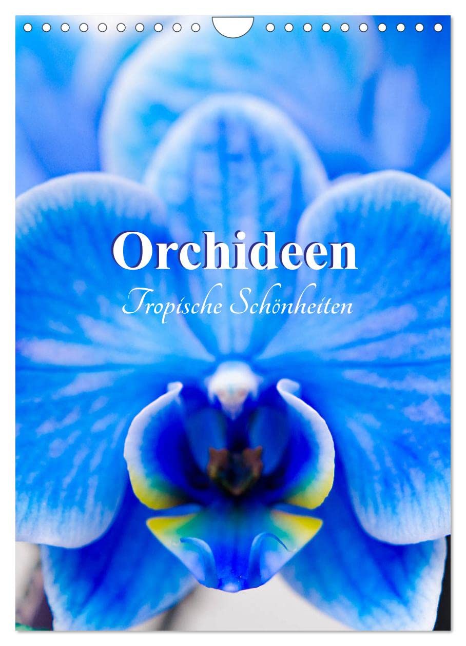 Orchideen - Tropische Schönheiten (Wandkalender 2026 DIN A4 hoch), CALVENDO Monatskalender: Orchideen - die Königinnen der Blumen. (CALVENDO Lifestyle) Social Sciences