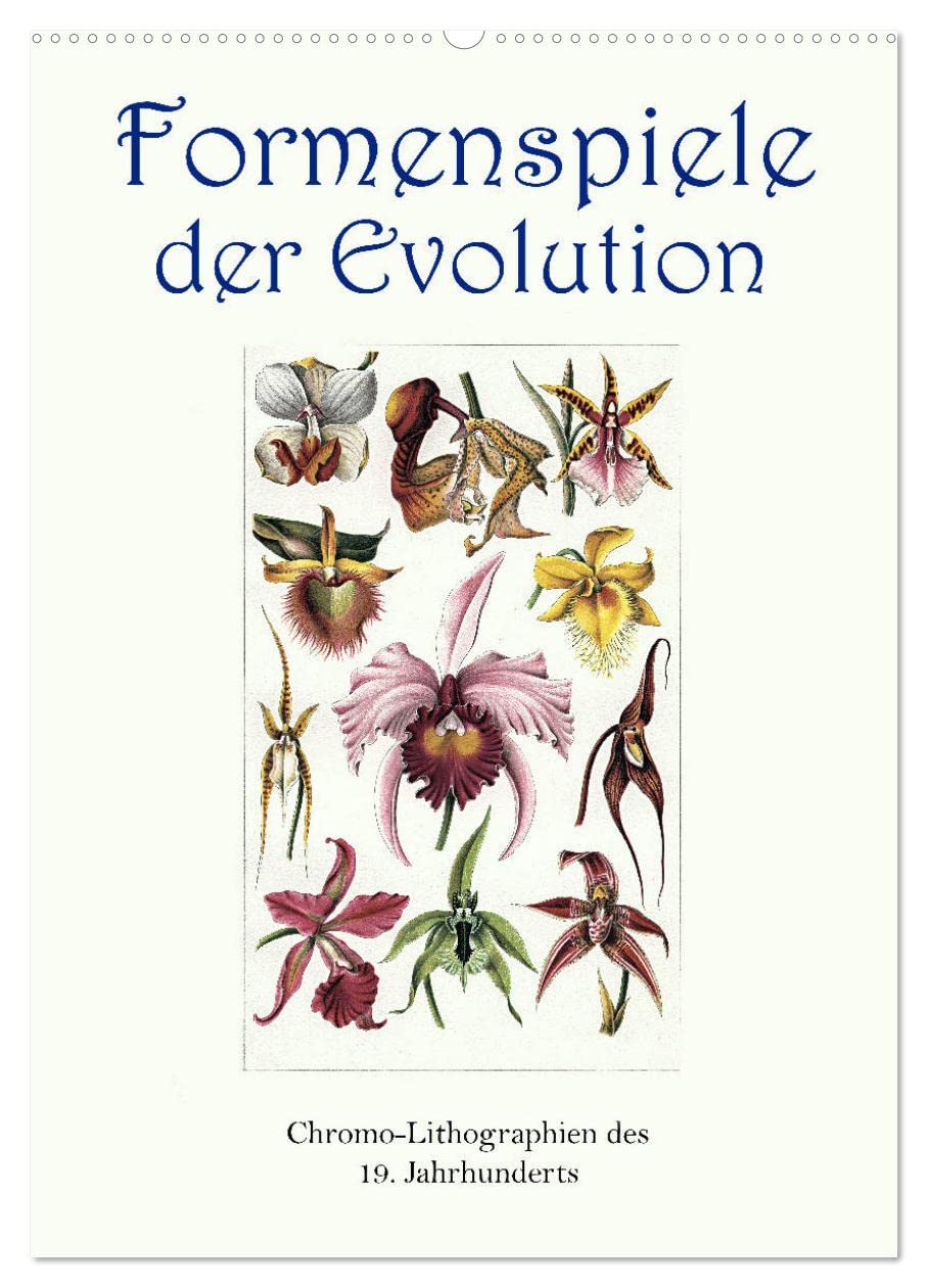 Formenspiele der Evolution. Chromolithographien des 19. Jahrhunderts (Wandkalender 2026 DIN A2 hoch), CALVENDO Monatskalender: Unendliche Vielfalt, erschaffen in Jahrmillionen. (CALVENDO Kunst) Film, Art & Culture