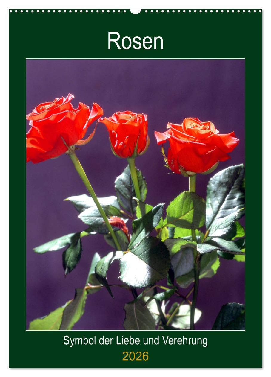 Rosen - Symbol der Liebe und Verehrung (Wandkalender 2026 DIN A2 hoch), CALVENDO Monatskalender: Rosenkalender - das besondere Geschenk (CALVENDO Kunst) Leisure, Home & Garden