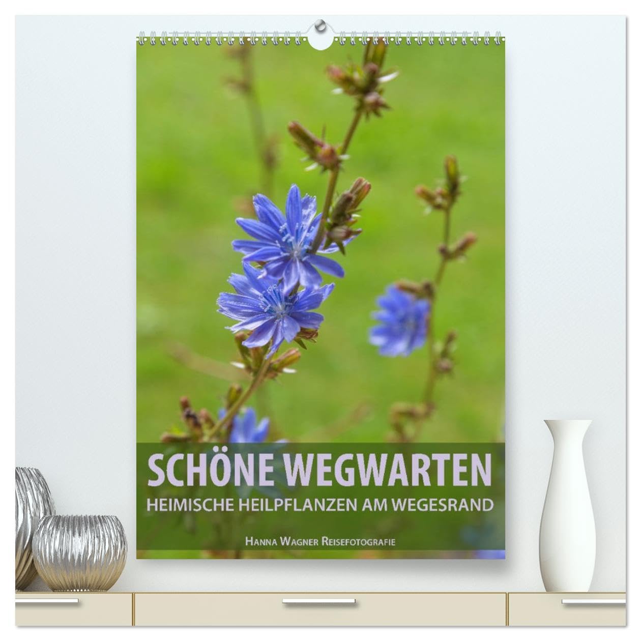 Schöne Wegwarten. Heimische Heilpflanzen am Wegesrand (hochwertiger Premium Wandkalender 2026 DIN A2 hoch), Kunstdruck in Hochglanz: Hanna Wagner ... alltäglichen Wege. (CALVENDO Gesundheit) Photography
