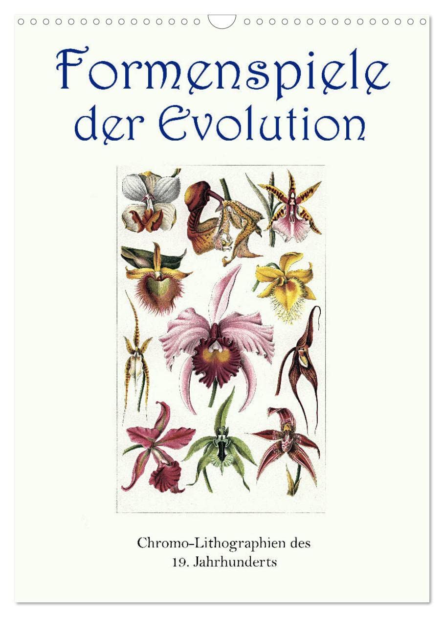 Formenspiele der Evolution. Chromolithographien des 19. Jahrhunderts (Wandkalender 2026 DIN A3 hoch), CALVENDO Monatskalender: Unendliche Vielfalt, erschaffen in Jahrmillionen. (CALVENDO Kunst) Film, Art & Culture