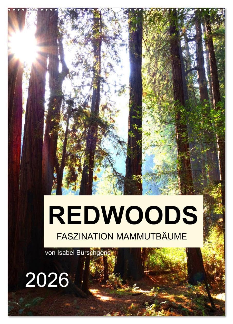 Redwoods - Faszination Mammutbäume (Wandkalender 2026 DIN A2 hoch), CALVENDO Monatskalender: Zwölf atemberaubenden Naturaufnahmen der fazinierenden Mammutbäume (CALVENDO Natur) Leisure, Home & Garden