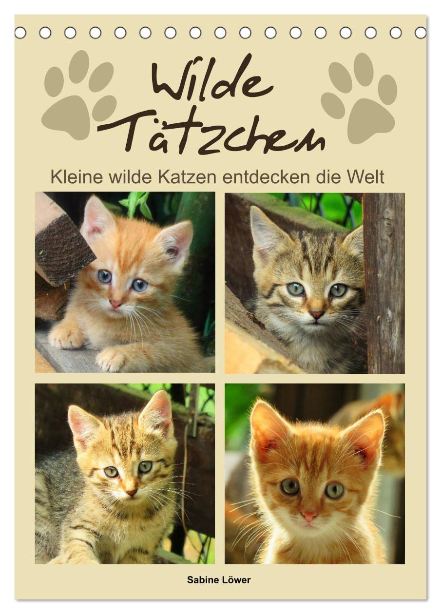 Wilde Tätzchen, kleine wilde Katzen entdecken die Welt (Tischkalender 2026 DIN A5 hoch), CALVENDO Monatskalender: Bezaubernde Katzenkinder (CALVENDO Tiere) Living & Furnishing