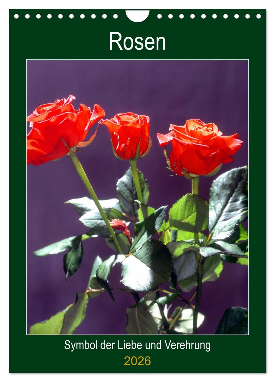 Rosen - Symbol der Liebe und Verehrung (Wandkalender 2026 DIN A4 hoch), CALVENDO Monatskalender: Rosenkalender - das besondere Geschenk (CALVENDO Kunst) Leisure, Home & Garden