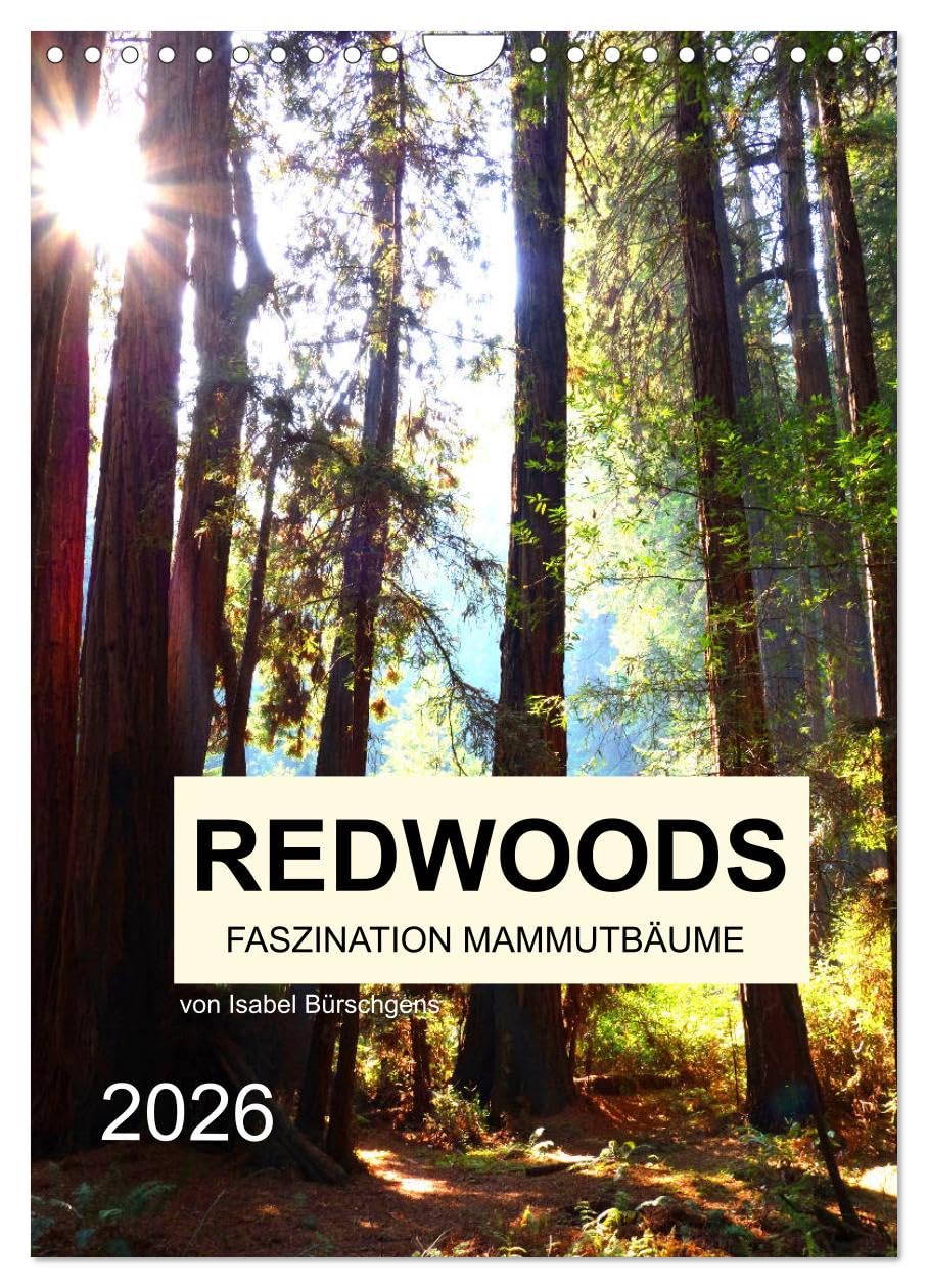Redwoods - Faszination Mammutbäume (Wandkalender 2026 DIN A4 hoch), CALVENDO Monatskalender: Zwölf atemberaubenden Naturaufnahmen der fazinierenden Mammutbäume (CALVENDO Natur) Leisure, Home & Garden