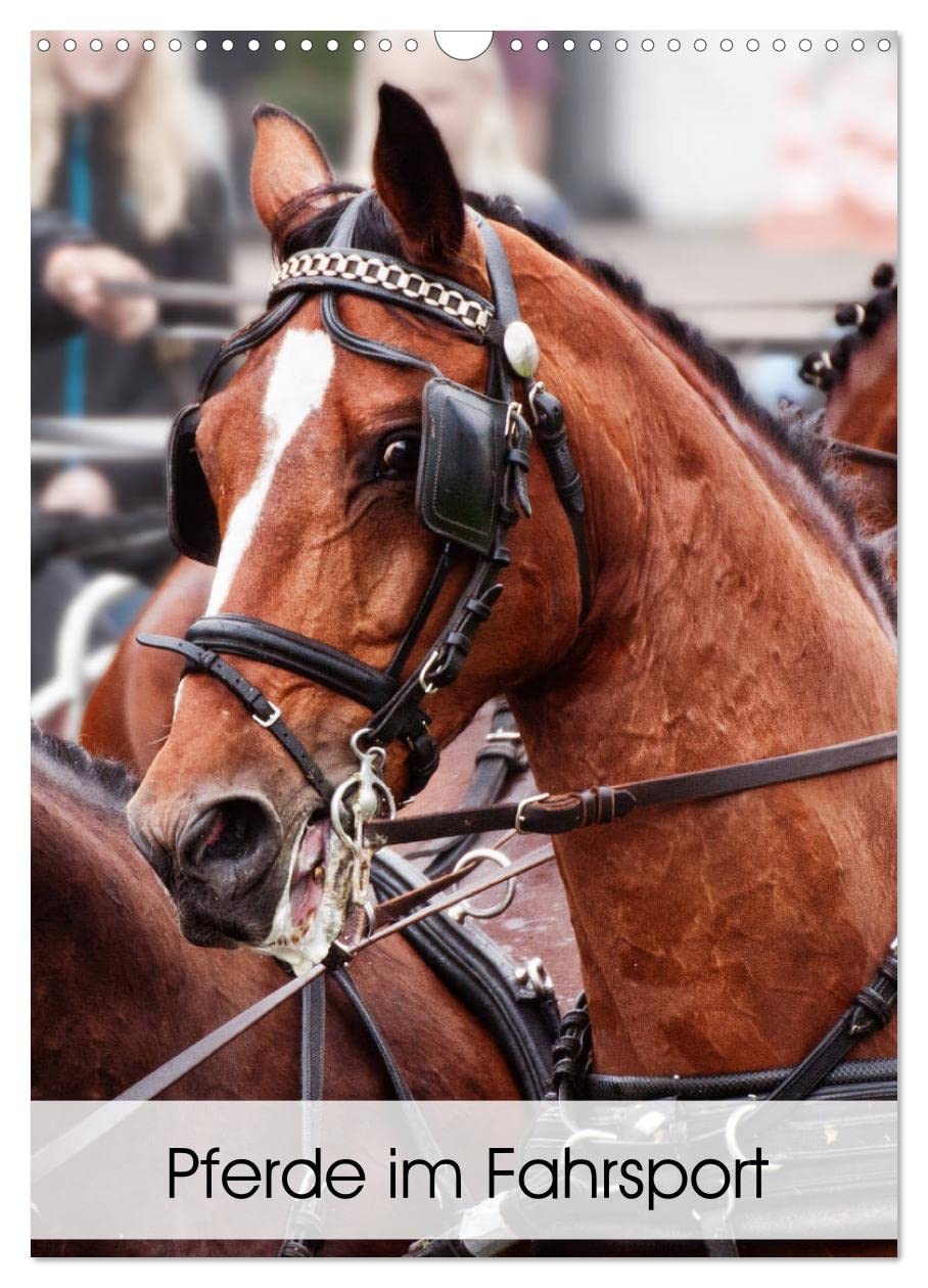 Pferde im Fahrsport (Wandkalender 2026 DIN A3 hoch), CALVENDO Monatskalender: Fahrpferde im Viererzug vor dem Marathon-Wagen (CALVENDO Tiere) Sports Books