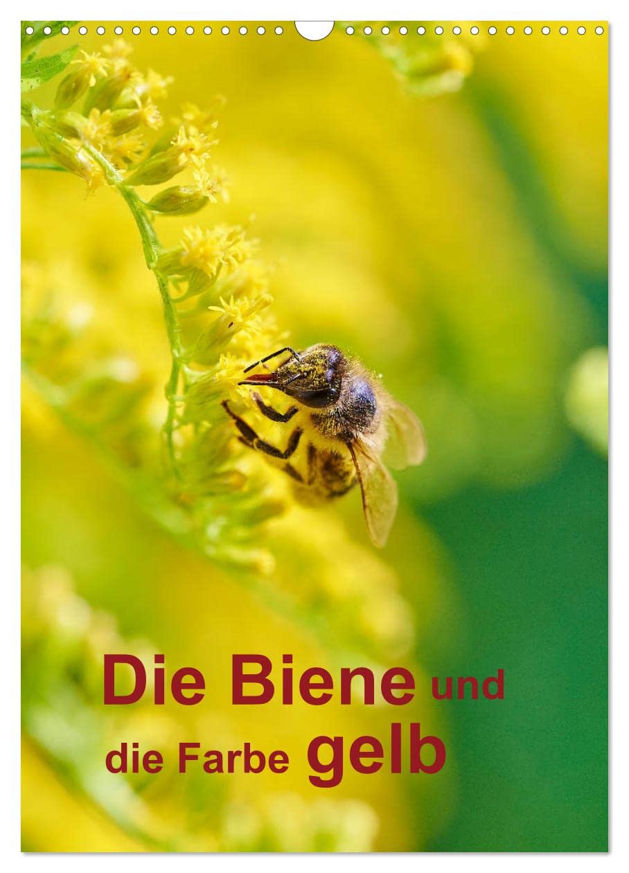 Die Biene und die Farbe gelb (Wandkalender 2026 DIN A3 hoch), CALVENDO Monatskalender: Ein Jahresplaner besonders für Imker (CALVENDO Tiere) Leisure, Home & Garden