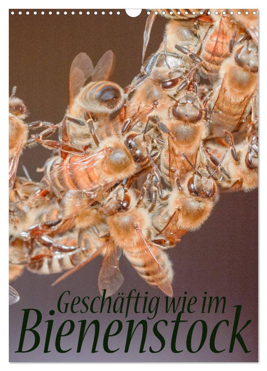 Geschäftig wie im Bienenstock (Wandkalender 2026 DIN A3 hoch), CALVENDO Monatskalender: Ein Einblick in das Innenleben des Bienenstocks (CALVENDO Tiere) Natural Sciences