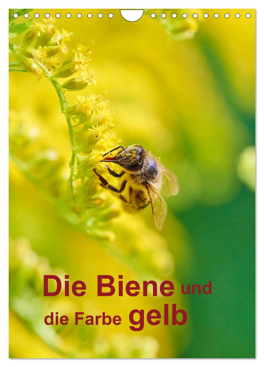 Die Biene und die Farbe gelb (Wandkalender 2026 DIN A4 hoch), CALVENDO Monatskalender: Ein Jahresplaner besonders für Imker (CALVENDO Tiere) Leisure, Home & Garden