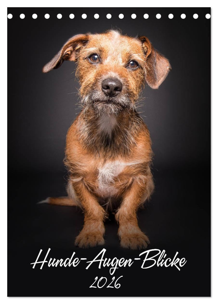 Hunde-Augen-Blicke (Tischkalender 2026 DIN A5 hoch), CALVENDO Monatskalender: 12 tolle Aufnahmen charmanter Hundepersönlichkeiten machen diesen ... für alle Hundeliebhaber (CALVENDO Tiere) Pets