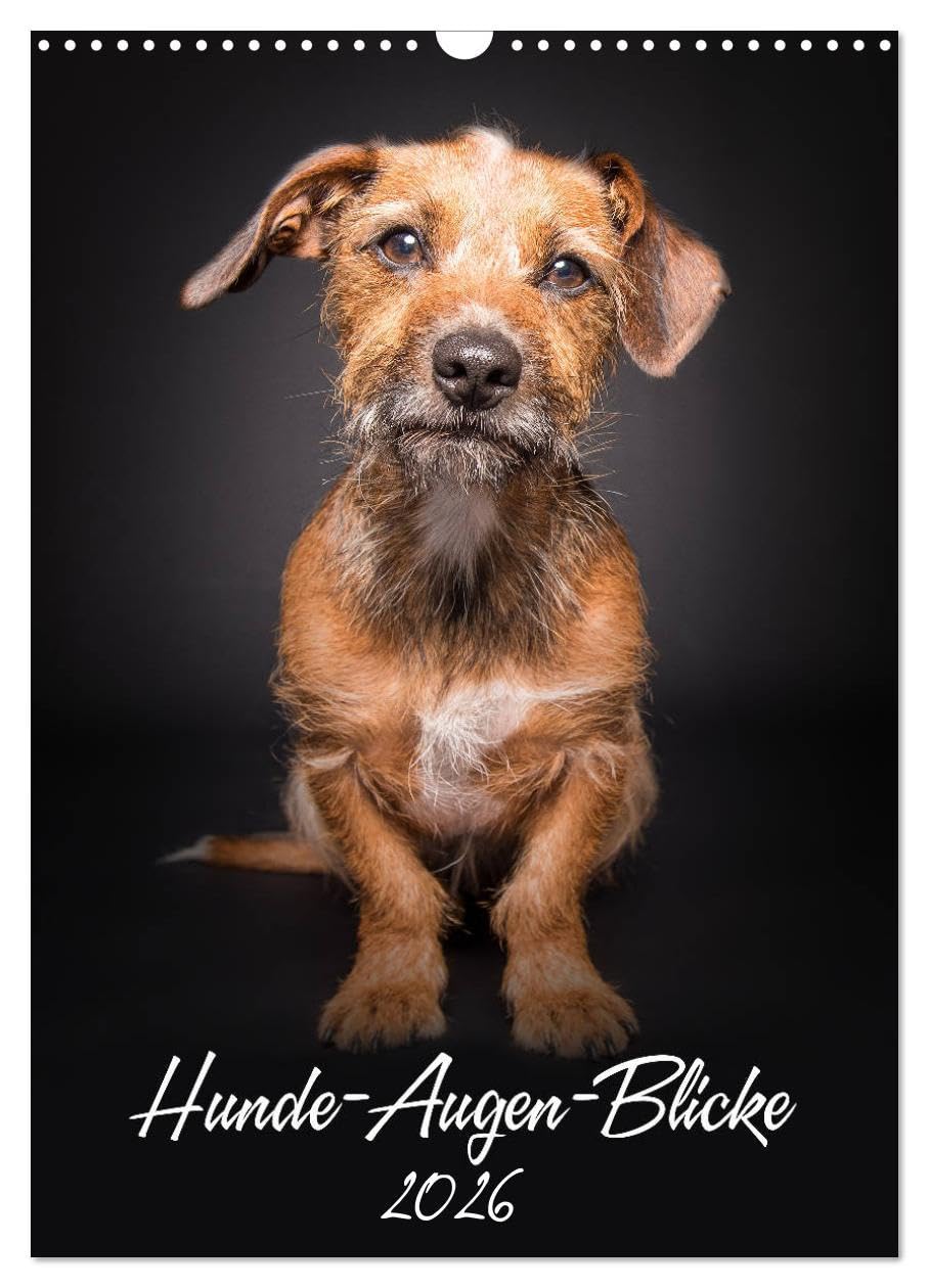 Hunde-Augen-Blicke (Wandkalender 2026 DIN A3 hoch), CALVENDO Monatskalender: 12 tolle Aufnahmen charmanter Hundepersönlichkeiten machen diesen ... für alle Hundeliebhaber (CALVENDO Tiere) Pets