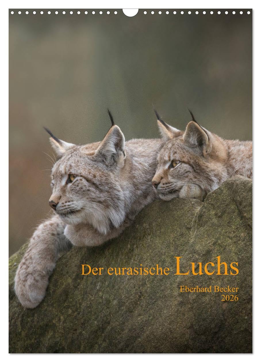 Der eurasische Luchs (Wandkalender 2026 DIN A3 hoch), CALVENDO Monatskalender: Auf leisen Sohlen… ein Jäger unserer Wälder (CALVENDO Tiere) Natural Sciences