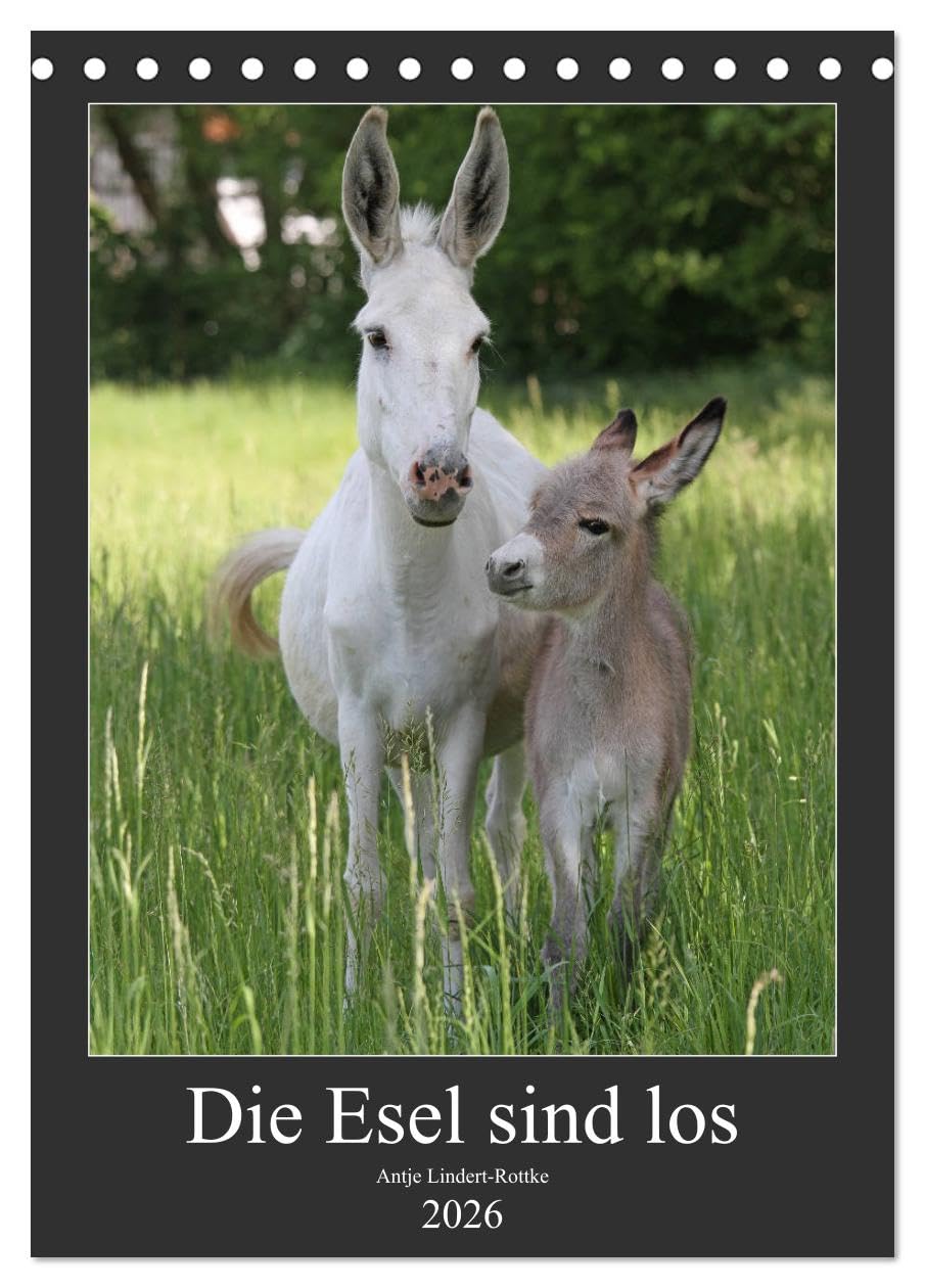 Die Esel sind los (Tischkalender 2026 DIN A5 hoch), CALVENDO Monatskalender: Liebenswerte, pfiffige Nutztiere (CALVENDO Tiere) Natural Sciences