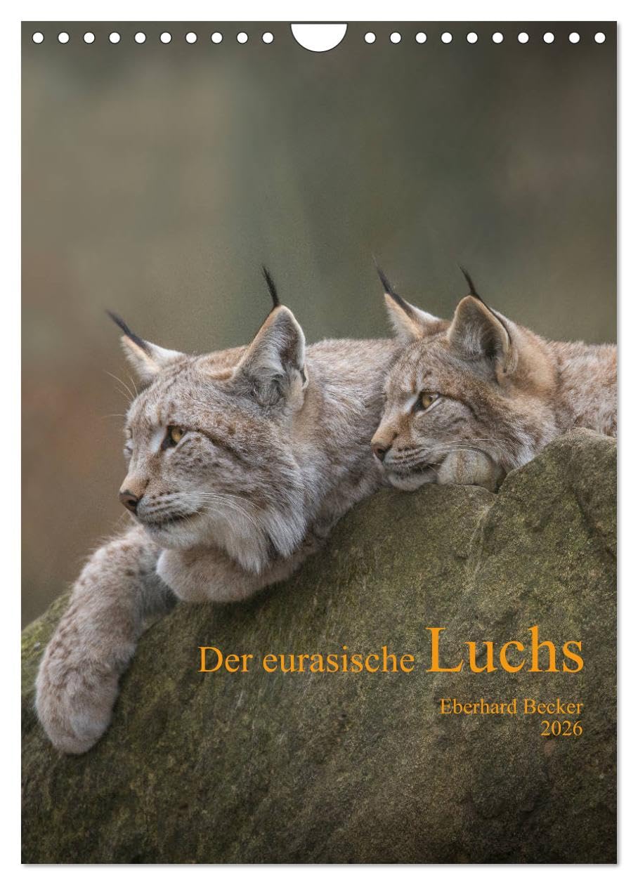 Der eurasische Luchs (Wandkalender 2026 DIN A4 hoch), CALVENDO Monatskalender: Auf leisen Sohlen… ein Jäger unserer Wälder (CALVENDO Tiere) Natural Sciences