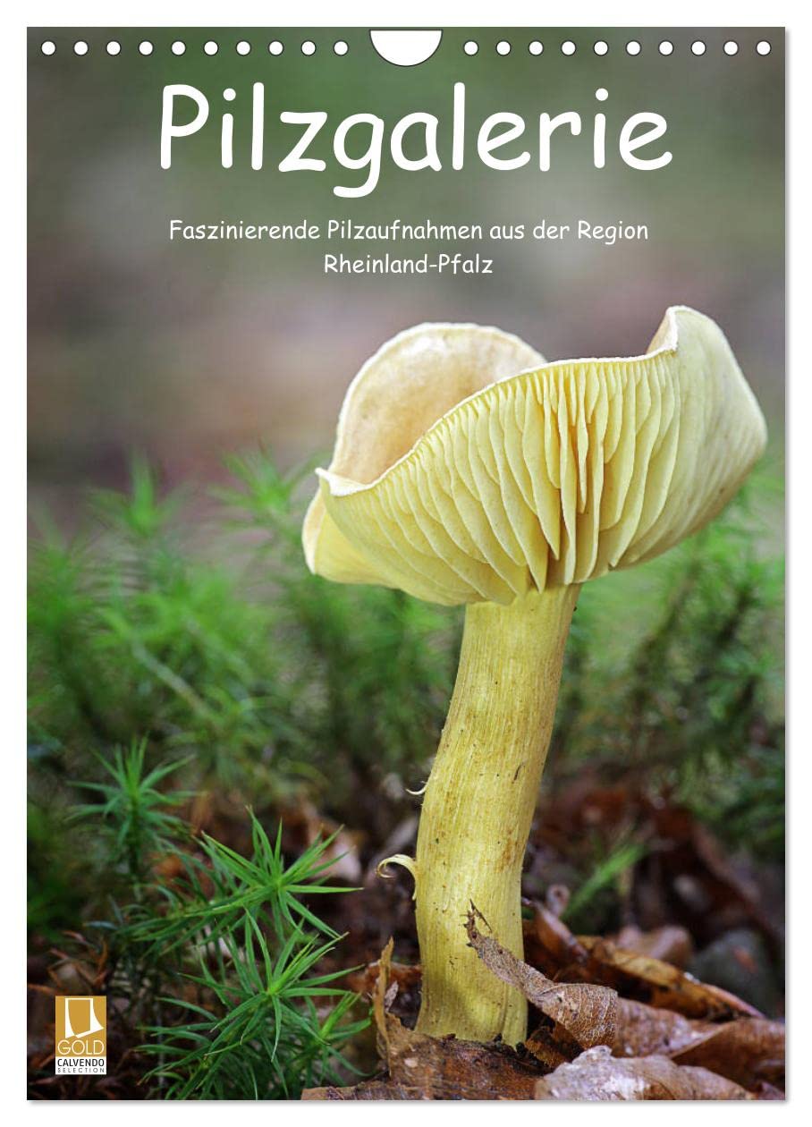 Pilzgalerie - Faszinierende Pilzaufnahmen aus der Region Rheinland-Pfalz (Wandkalender 2026 DIN A4 hoch), CALVENDO Monatskalender: Einzigartige Pilzaufnahmen im Hochformat (CALVENDO Natur) Living & Furnishing