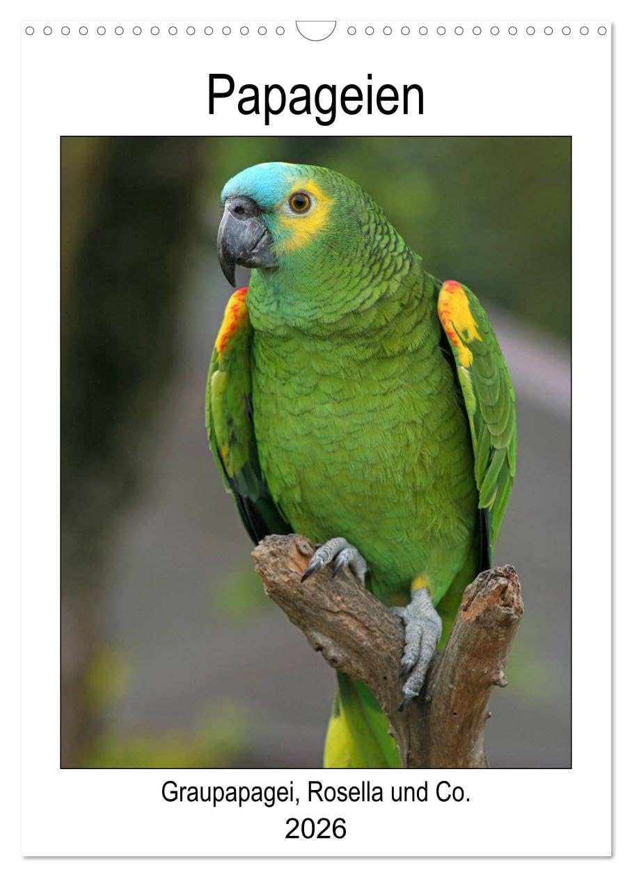 Papageien - Graupapagei, Rosella und Co. (Wandkalender 2026 DIN A3 hoch), CALVENDO Monatskalender: Geflügelte Vielfalt (CALVENDO Tiere) Natural Sciences