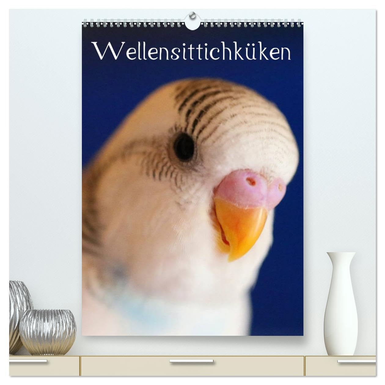 Wellensittichküken (hochwertiger Premium Wandkalender 2026 DIN A2 hoch), Kunstdruck in Hochglanz: 12 niedliche Welliküken lassen das Herz eines jeden ... Das ideale Geschenk! (CALVENDO Tiere) Social Sciences