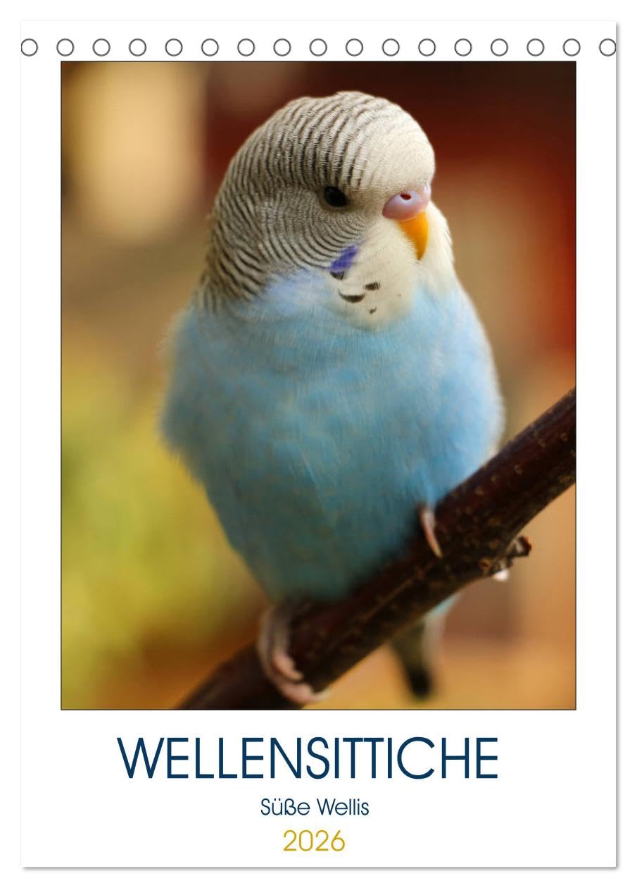 WELLENSITTICHE - Süße Wellis (Tischkalender 2026 DIN A5 hoch), CALVENDO Monatskalender: Ein neues Jahr – ein neuer Kalender! Für ... prachtvoller Wellensittiche! (CALVENDO Tiere) Social Sciences