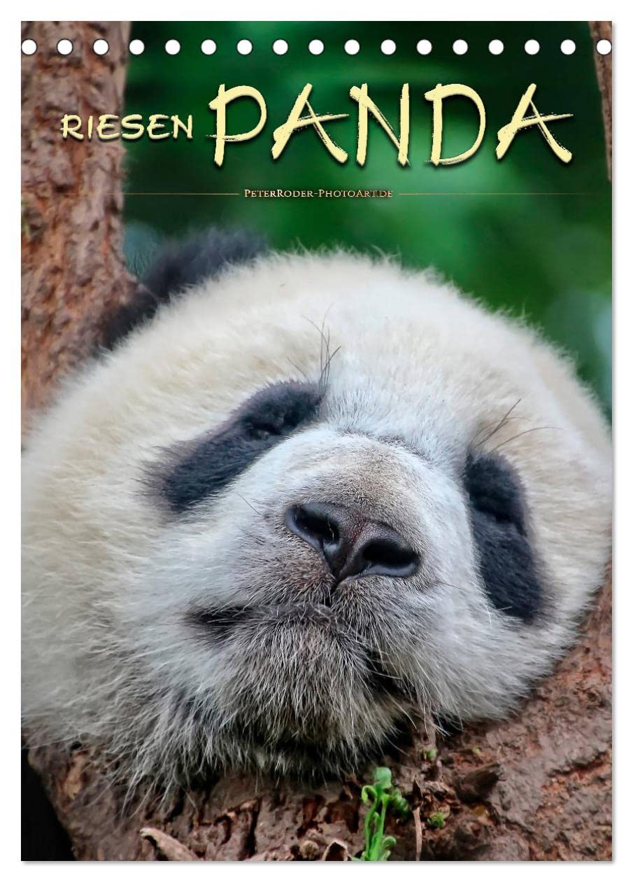 Riesenpanda (Tischkalender 2026 DIN A5 hoch), CALVENDO Monatskalender: Eindrucksvolle Bilder eines wunderschönen Tieres. (CALVENDO Tiere) Film, Art & Culture