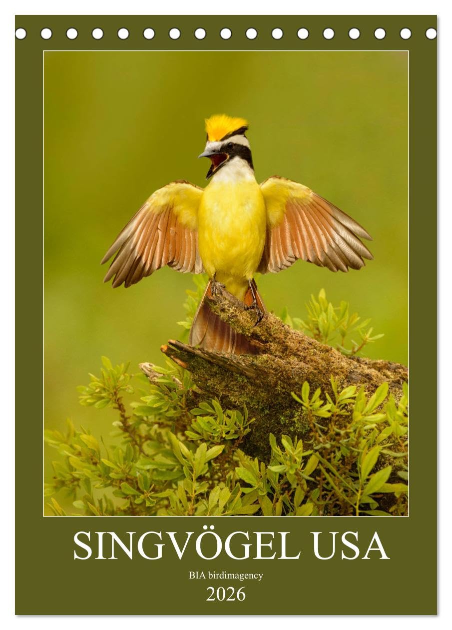 Singvögel USA (Tischkalender 2026 DIN A5 hoch), CALVENDO Monatskalender: Monatskalender, Hochformat, 12 Singvogelarten aus den USA (CALVENDO Tiere) Natural Sciences
