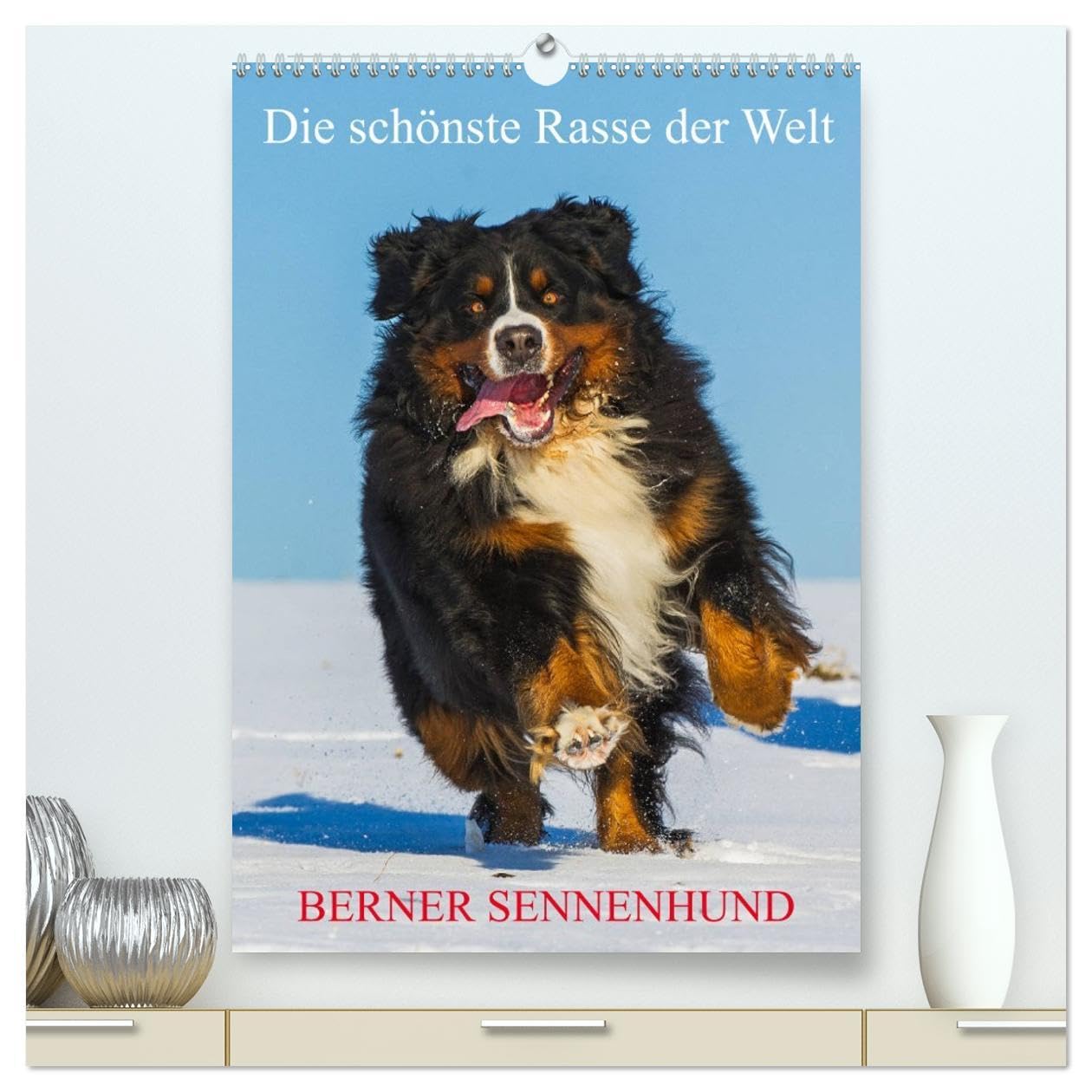 Die schönste Rasse der Welt - Berner Sennenhund (hochwertiger Premium Wandkalender 2026 DIN A2 hoch), Kunstdruck in Hochglanz: Die Schönheit der ... auf 13 bezaubernden Bildern (CALVENDO Tiere) Natural Sciences
