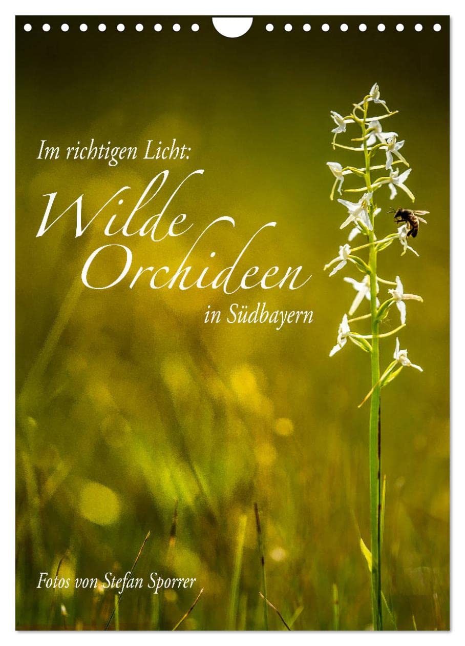 Im richtigen Licht: Wilde Orchideen in Südbayern (Wandkalender 2026 DIN A4 hoch), CALVENDO Monatskalender: Zwölf faszinierende Bilder von wilden Orchideen unserer Heimat. (CALVENDO Natur) Photography