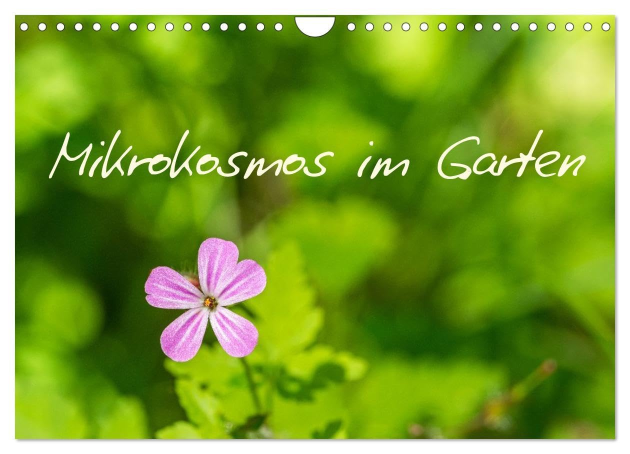 Mikrokosmos im Garten (Wandkalender 2026 DIN A4 quer), CALVENDO Monatskalender: Eine faszinierende Entdeckungsreise in die Welt feiner Strukturen, ... auf den zweiten Blick zeigen (CALVENDO Natur) Photography