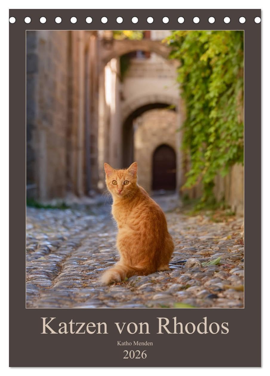 Katzen von Rhodos (Tischkalender 2026 DIN A5 hoch), CALVENDO Monatskalender: Anmutige Katzen in malerischen alten Dorfgassen und vor bunten Blüten ... griechischen Insel Rhodos. (CALVENDO Tiere) Photography