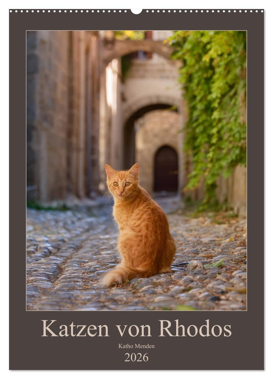 Katzen von Rhodos (Wandkalender 2026 DIN A2 hoch), CALVENDO Monatskalender: Anmutige Katzen in malerischen alten Dorfgassen und vor bunten Blüten ... griechischen Insel Rhodos. (CALVENDO Tiere) Photography