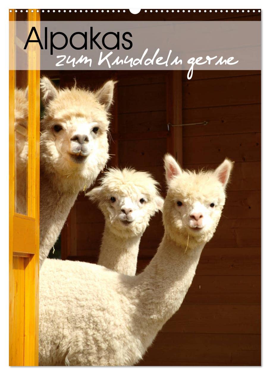 Alpakas zum Knuddeln gerne (Wandkalender 2026 DIN A2 hoch), CALVENDO Monatskalender: Eine liebevoll zusammengestellte Sammlung mit Portraits von zuckersüßen Alpakas (CALVENDO Tiere) Pets