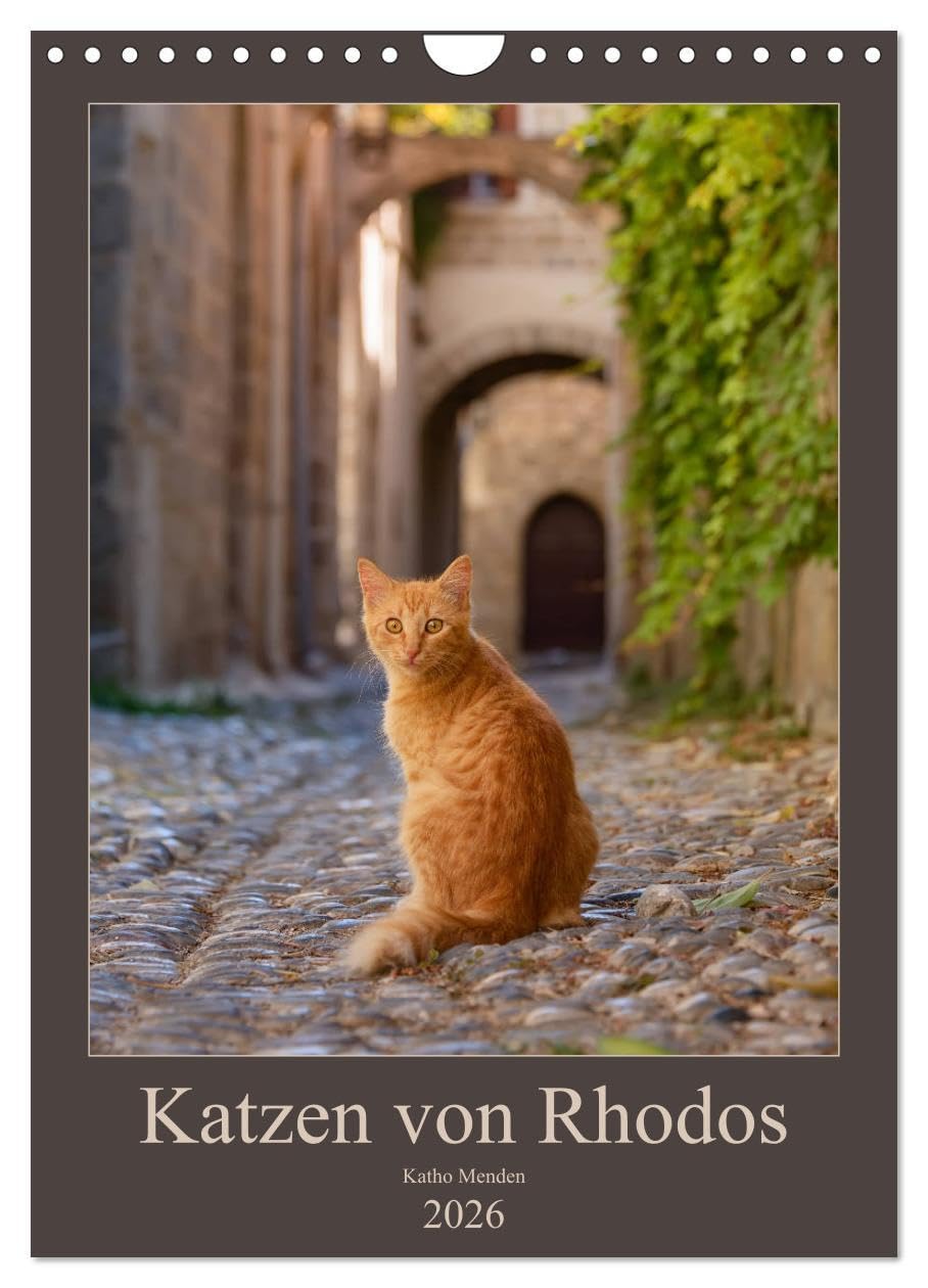 Katzen von Rhodos (Wandkalender 2026 DIN A4 hoch), CALVENDO Monatskalender: Anmutige Katzen in malerischen alten Dorfgassen und vor bunten Blüten ... griechischen Insel Rhodos. (CALVENDO Tiere) Photography