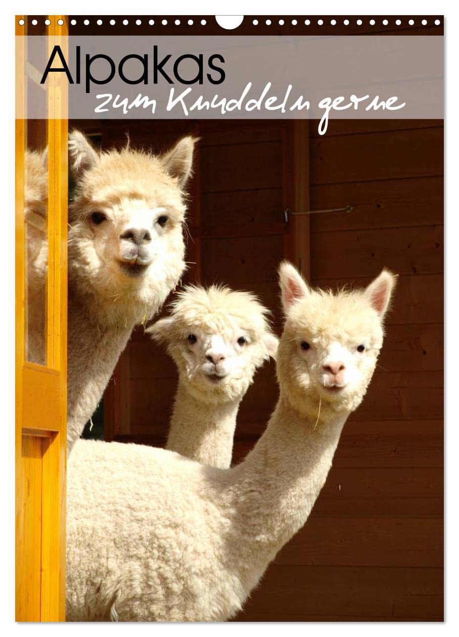 Alpakas zum Knuddeln gerne (Wandkalender 2026 DIN A3 hoch), CALVENDO Monatskalender: Eine liebevoll zusammengestellte Sammlung mit Portraits von zuckersüßen Alpakas (CALVENDO Tiere) Pets
