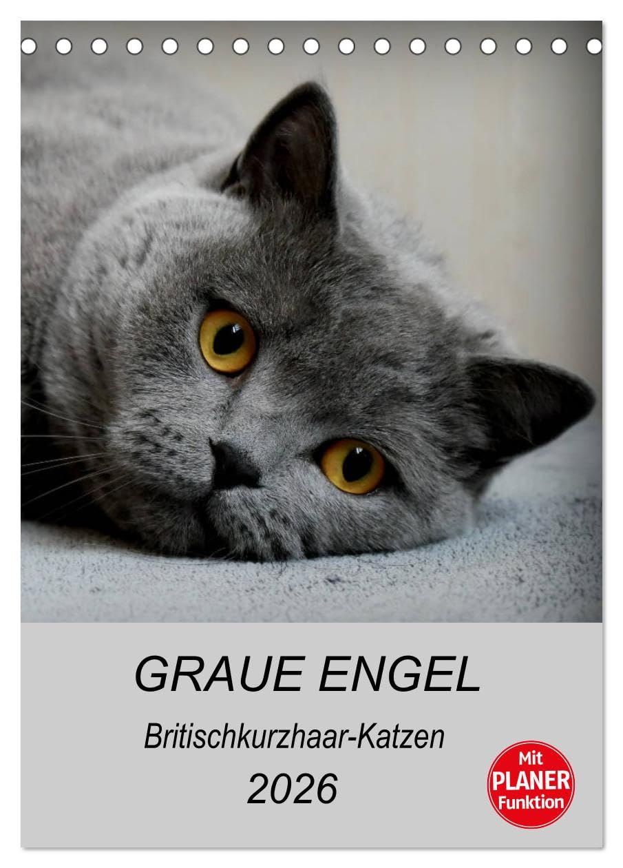 Graue Engel - Britischkurzhaar-Katzen (Tischkalender 2026 DIN A5 hoch), CALVENDO Monatskalender: Traumhafte Porträtfotos von Britischkurzhaar-Katzen (CALVENDO Tiere) Religion & Esotericism