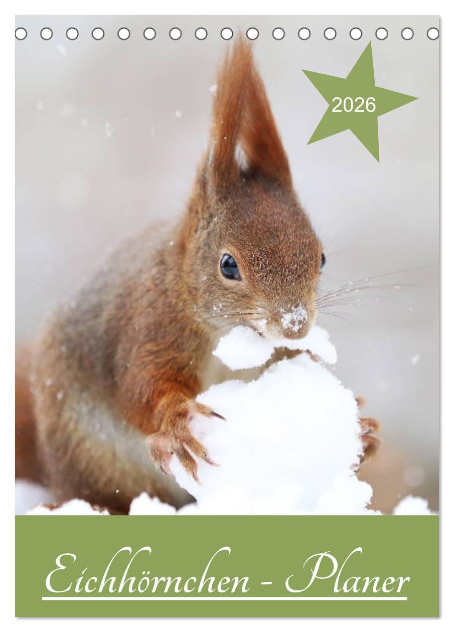 Eichhörnchen - Planer (Tischkalender 2026 DIN A5 hoch), CALVENDO Monatskalender: Eichhörnchen Familienplaner (CALVENDO Tiere) Natural Sciences