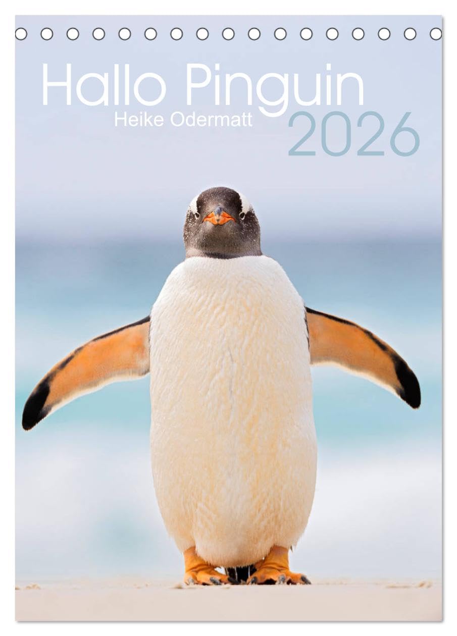 Hallo Pinguin (Tischkalender 2026 DIN A5 hoch), CALVENDO Monatskalender: Ein Jahr lang Pinguine auf den Falklandinseln. (CALVENDO Tiere) Photography