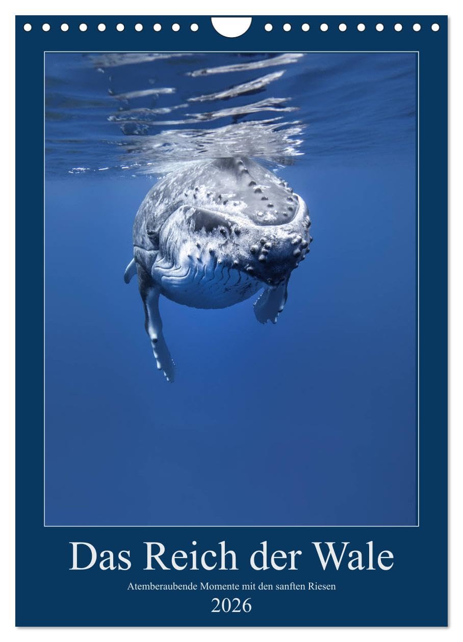 Im Reich der Wale (Wandkalender 2026 DIN A4 hoch), CALVENDO Monatskalender: Atemberaubende Momente mit den sanften Riesen (CALVENDO Tiere) Film, Art & Culture
