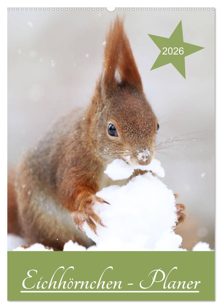 Eichhörnchen - Planer (Wandkalender 2026 DIN A2 hoch), CALVENDO Monatskalender: Eichhörnchen Familienplaner (CALVENDO Tiere) Natural Sciences
