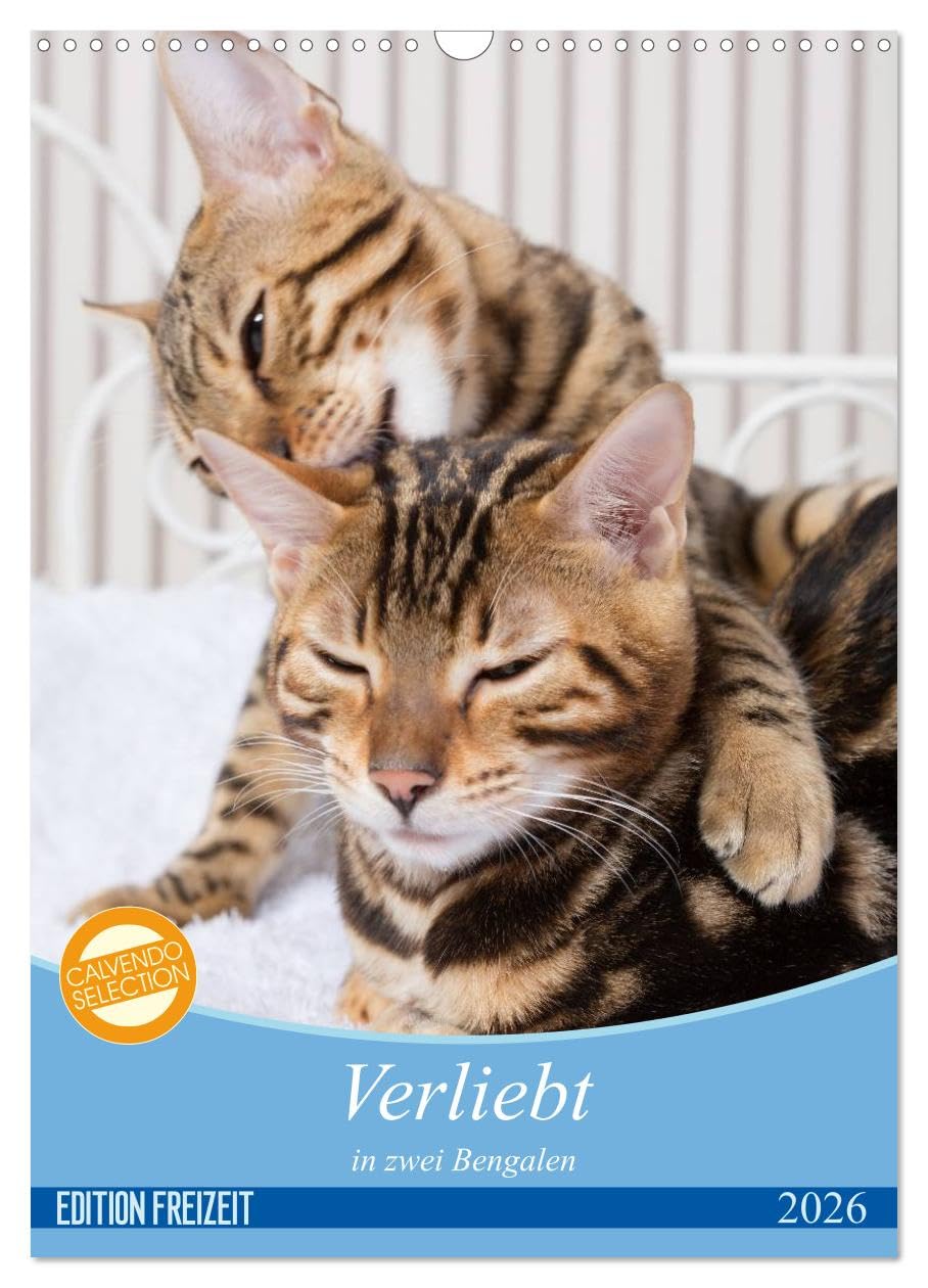 Verliebt in zwei Bengalen (Wandkalender 2026 DIN A3 hoch), CALVENDO Monatskalender: Fotografien zweier Bengalkatzenkinder (CALVENDO Tiere) Natural Sciences