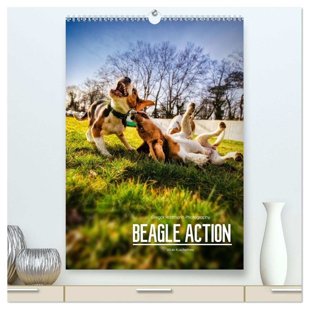 Beagle Action - Wilde Kuscheltiere (hochwertiger Premium Wandkalender 2026 DIN A2 hoch), Kunstdruck in Hochglanz: Beagles beim Spielen (CALVENDO Tiere) Natural Sciences