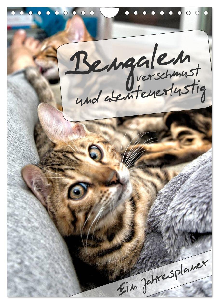 Bengalen - verschmust und abenteuerlustig (Wandkalender 2026 DIN A4 hoch), CALVENDO Monatskalender: Ein Jahresplaner mit zwei abenteuerlustigen und verschmusten Bengalen (CALVENDO Tiere) Natural Sciences