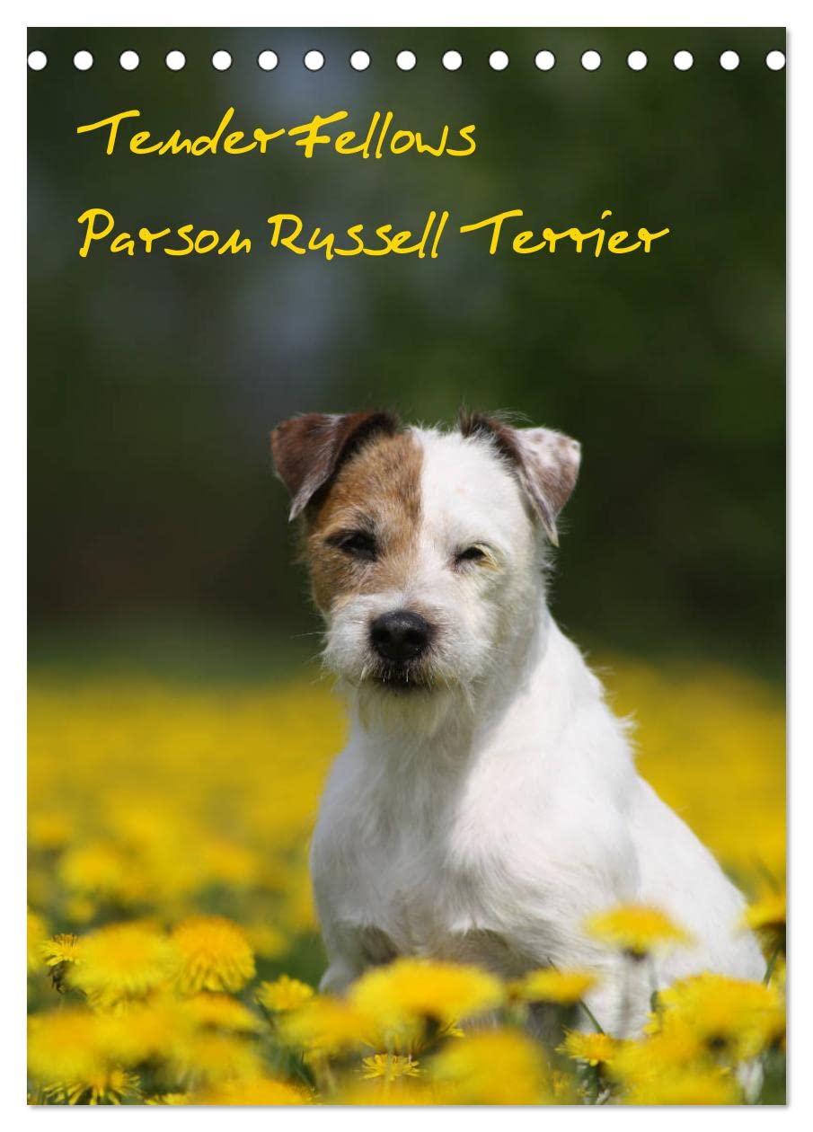 Tender Fellows - Parson Russell Terrier (Tischkalender 2026 DIN A5 hoch), CALVENDO Monatskalender: Unsere fröhliche Terrierbande hat auch in 2017 viel erlebt. (CALVENDO Tiere) Natural Sciences