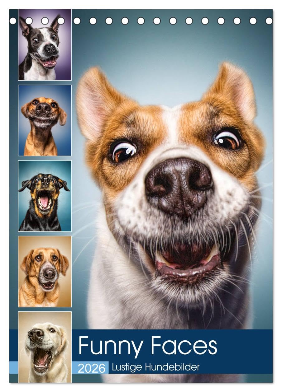Funny Faces - Lustige Hundebilder (Tischkalender 2026 DIN A5 hoch), CALVENDO Monatskalender: Herrliche Hunde-Gesichter mit einer Prise Humor. (CALVENDO Tiere) Living & Furnishing