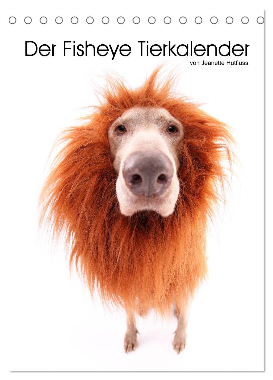 Der Fisheye Tiere Kalender (Tischkalender 2026 DIN A5 hoch), CALVENDO Monatskalender: Tiere mit dem Fisheye Objektiv lustig in Szene gesetzt (CALVENDO Tiere) Pets