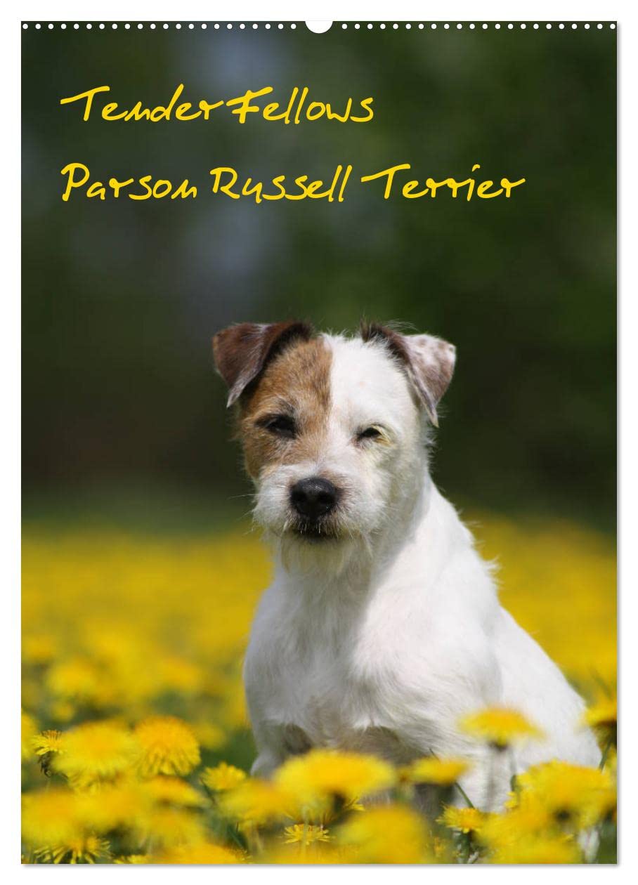 Tender Fellows - Parson Russell Terrier (Wandkalender 2026 DIN A2 hoch), CALVENDO Monatskalender: Unsere fröhliche Terrierbande hat auch in 2017 viel erlebt. (CALVENDO Tiere) Natural Sciences