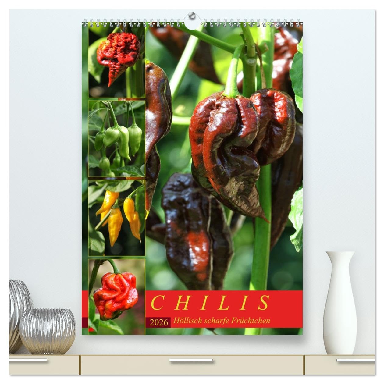 Chilis - Höllisch scharfe Früchtchen (hochwertiger Premium Wandkalender 2026 DIN A2 hoch), Kunstdruck in Hochglanz: Portraits von 12 verschiedenen, extra scharfen Chili Sorten (CALVENDO Lifestyle) Leisure, Home & Garden