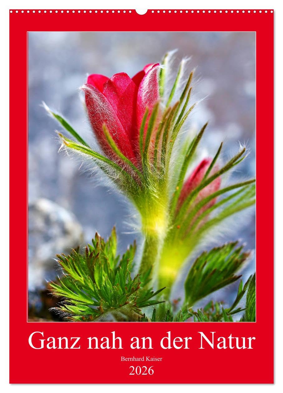 Ganz nah an der Natur (Wandkalender 2026 DIN A2 hoch), CALVENDO Monatskalender: Makroaufnahmen von Blumen, Blüten, Pflanzen (CALVENDO Natur) Leisure, Home & Garden