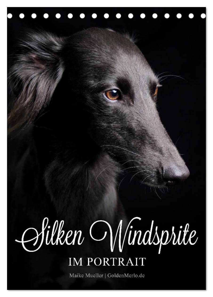 Silken Windsprite im Portrait (Tischkalender 2026 DIN A5 hoch), CALVENDO Monatskalender: Jeden Monat ein neues, faszinierendes Portrait der seidigen Windhunde (CALVENDO Tiere) Living & Furnishing
