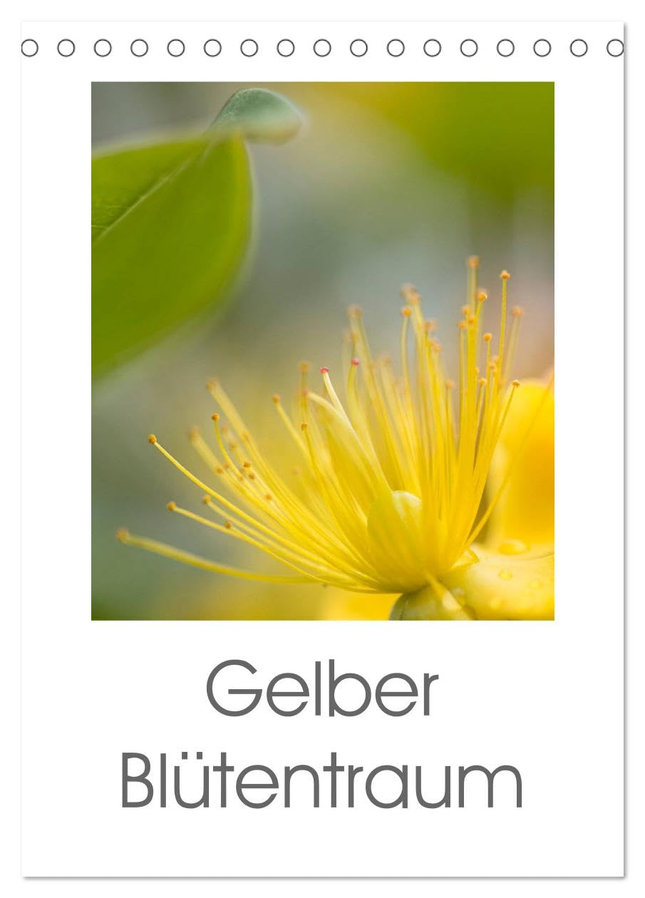 Gelber Blütentraum (Tischkalender 2026 DIN A5 hoch), CALVENDO Monatskalender: Gelbe frische Blütenfotos verzaubern uns das ganze Jahr (CALVENDO Natur) Social Sciences
