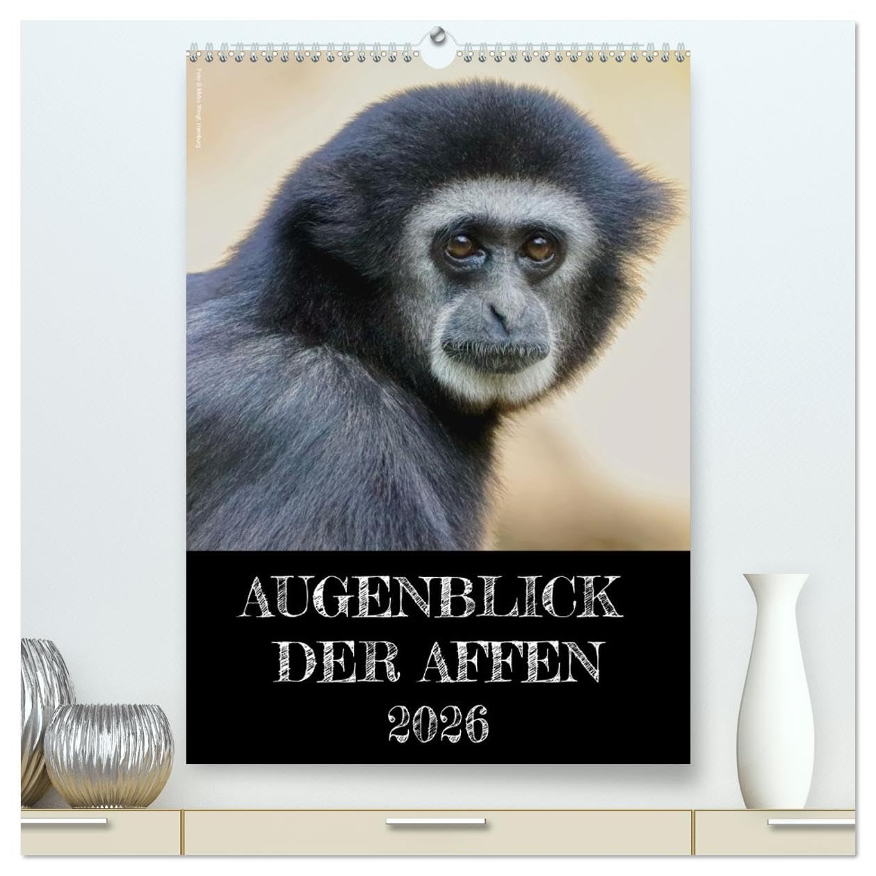 Augenblick der Affen 2026 (hochwertiger Premium Wandkalender 2026 DIN A2 hoch), Kunstdruck in Hochglanz: Affengesichter ganz nah. Jeden Monat ein ... zu Interpretationen einlädt. (CALVENDO Tiere) Social Sciences